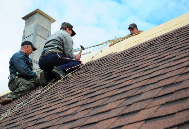 Best Metal Roofing Contractor  in Westmont, IL